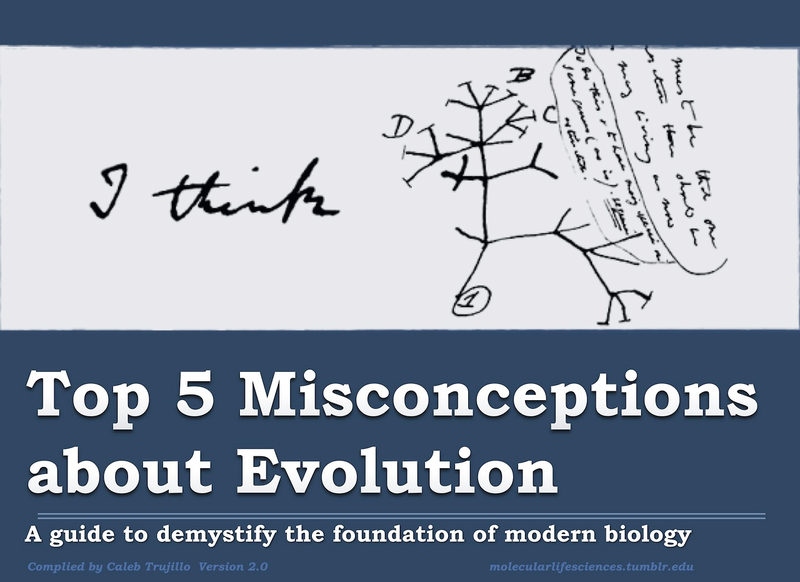 Illustration for article titled Top five misconceptions about evolution according to science